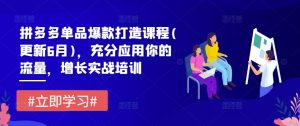 拼多多单品爆款打造课程(更新6月)，充分应用你的流量，增长实战培训-小本创业副业项目推荐_零成本在家赚钱项目_中赚网