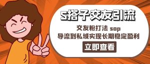 (11548期)某收费888-S搭子交友引流,交友粉打法 sop,导流到私域实现长期稳定盈利-小本创业副业项目推荐_零成本在家赚钱项目_中赚网