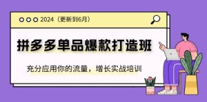 2024拼多多单品爆款打造班，充分应用你的流量，增长实战培训(更新6月)-小本创业副业项目推荐_零成本在家赚钱项目_中赚网