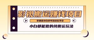 手把手教你操作影视搬运项目，小白都能做零基础也能赚钱-小本创业副业项目推荐_零成本在家赚钱项目_中赚网