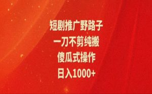 （11642期）暑假风口项目，短剧推广全新玩法，一刀不剪纯搬运，轻松日入1000+-小本创业副业项目推荐_零成本在家赚钱项目_中赚网
