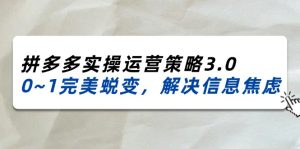 2024-2025拼多多实操运营策略3.0，0~1完美蜕变，解决信息焦虑（38节）-小本创业副业项目推荐_零成本在家赚钱项目_中赚网