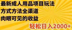 最新成人用品项目玩法，方式方法全渠道，肉眼可见的收益，轻松日入2000+-小本创业副业项目推荐_零成本在家赚钱项目_中赚网