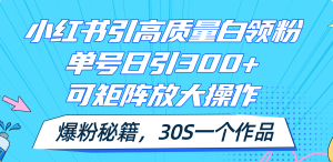 （11692期）小红书引高质量白领粉，单号日引300+，可放大操作，爆粉秘籍！30s一个作品-小本创业副业项目推荐_零成本在家赚钱项目_中赚网