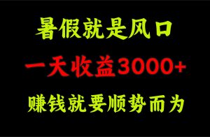 （11670期）一天收益3000+ 赚钱就是顺势而为，暑假就是风口-小本创业副业项目推荐_零成本在家赚钱项目_中赚网