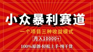 （11695期）视频号【中老年粉深信不疑】小众赛道 100%原创 手把手教学 新号3天收益…-小本创业副业项目推荐_零成本在家赚钱项目_中赚网