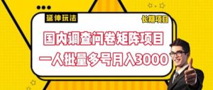 国内调查问卷矩阵项目，一人批量多号月入3000-小本创业副业项目推荐_零成本在家赚钱项目_中赚网