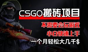 CSGO 装备搬砖项目，操作简单，不需要会玩游戏，小白也能快速上手，一个月轻松大几千-小本创业副业项目推荐_零成本在家赚钱项目_中赚网