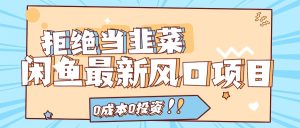 （11781期）拒绝当韭菜！闲鱼最新风口项目，0成本0投资，当日出单，日入1000+-小本创业副业项目推荐_零成本在家赚钱项目_中赚网