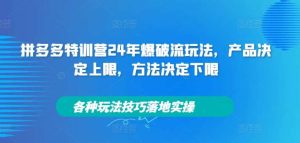 拼多多特训营24年爆破流玩法，产品决定上限，方法决定下限，各种玩法技巧落地实操-小本创业副业项目推荐_零成本在家赚钱项目_中赚网
