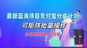 （12515期）最新蓝海项目支付宝分成计划，可矩阵批量操作，小白也能月入五位数-小本创业副业项目推荐_零成本在家赚钱项目_中赚网