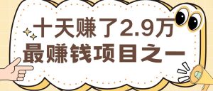 闲鱼小红书最赚钱项目之一，轻松月入6万+-小本创业副业项目推荐_零成本在家赚钱项目_中赚网