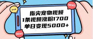 （12549期）指尖宠物视频，1条视频涨粉1700，单日变现5000+-小本创业副业项目推荐_零成本在家赚钱项目_中赚网