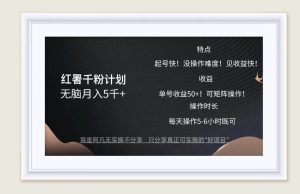 （12560期）红薯千粉计划无脑月入5千+！既做既赚！-小本创业副业项目推荐_零成本在家赚钱项目_中赚网