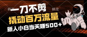 （12576期）2分钟一个作品，一刀不剪，撬动百万流量，新人小白刚做就赚500+-小本创业副业项目推荐_零成本在家赚钱项目_中赚网