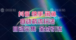 快手、抖音、闲鱼自动截流玩法，利用一个软件自动采集、评论、点赞、私信，全域引流-小本创业副业项目推荐_零成本在家赚钱项目_中赚网
