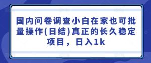 国内问卷调查小白在家也可批量操作(日结)真正的长久稳定项目，日入1k【揭秘】-小本创业副业项目推荐_零成本在家赚钱项目_中赚网
