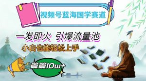 （12636期）视频号蓝海国学赛道，一发即火，引爆流量池，小白也能轻松上手，月入过万-小本创业副业项目推荐_零成本在家赚钱项目_中赚网