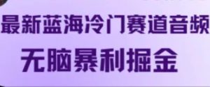 最新蓝海冷门赛道音频，无脑暴利掘金-小本创业副业项目推荐_零成本在家赚钱项目_中赚网