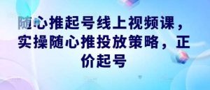 随心推起号线上视频课，实操随心推投放策略，正价起号-小本创业副业项目推荐_零成本在家赚钱项目_中赚网