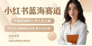小红书蓝海赛道，圈中高端职场人，月入无上限，可矩阵，内含私域实操教程!-小本创业副业项目推荐_零成本在家赚钱项目_中赚网