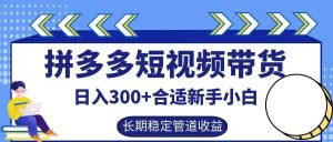 拼多多短视频带货日入300+，实操账户展示看就能学会-小本创业副业项目推荐_零成本在家赚钱项目_中赚网