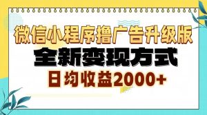 （13186期）微信小程序撸广告升级版，全新变现方式，日均收益2000+-小本创业副业项目推荐_零成本在家赚钱项目_中赚网