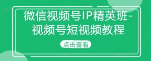 微信视频号IP精英班-视频号短视频教程-小本创业副业项目推荐_零成本在家赚钱项目_中赚网