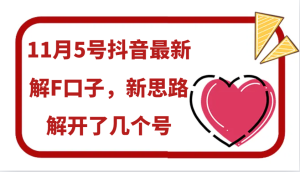 11月5号抖音最新解F口子，新思路解开了几个号-小本创业副业项目推荐_零成本在家赚钱项目_中赚网
