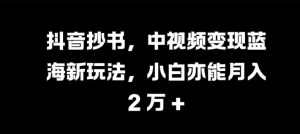 抖音抄书，中视频变现蓝海新玩法，小白亦能月入 过W-小本创业副业项目推荐_零成本在家赚钱项目_中赚网