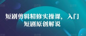 短剧剪辑精修实操课，入门短剧原创解说-小本创业副业项目推荐_零成本在家赚钱项目_中赚网