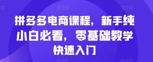 拼多多电商课程，新手纯小白必看，零基础教学快速入门-小本创业副业项目推荐_零成本在家赚钱项目_中赚网