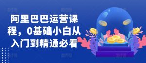 阿里巴巴运营课程，0基础小白从入门到精通必看-小本创业副业项目推荐_零成本在家赚钱项目_中赚网