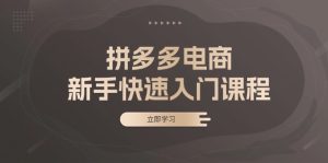 （13289期）拼多多电商新手快速入门课程：涵盖基础、实战与选款，助力小白轻松上手-小本创业副业项目推荐_零成本在家赚钱项目_中赚网