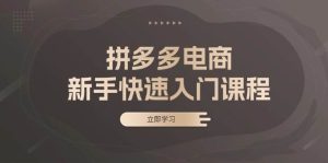拼多多电商新手快速入门课程：涵盖基础、实战与选款，助力小白轻松上手-小本创业副业项目推荐_零成本在家赚钱项目_中赚网