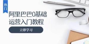 阿里巴巴运营零基础入门教程：涵盖开店、运营、推广，快速成为电商高手-小本创业副业项目推荐_零成本在家赚钱项目_中赚网