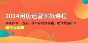 2024闲鱼运营实战课程：揭秘养号、选品、发布与销售秘籍，助你快速出单-小本创业副业项目推荐_零成本在家赚钱项目_中赚网