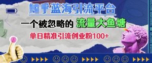 豆瓣蓝海引流平台，一个被忽略的流量大鱼塘，单日精准引流创业粉100+-小本创业副业项目推荐_零成本在家赚钱项目_中赚网