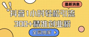 全网独家抖音引流，轻松日引300+精准创业粉-小本创业副业项目推荐_零成本在家赚钱项目_中赚网