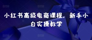 小红书高级电商课程，新手小白实操教学-小本创业副业项目推荐_零成本在家赚钱项目_中赚网