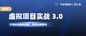 虚拟项目实操落地 3.0,新手轻松上手，单品月入1W+-小本创业副业项目推荐_零成本在家赚钱项目_中赚网