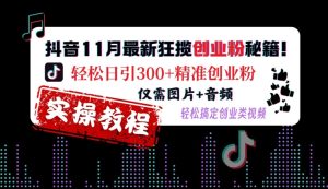 抖音11月最新狂揽创业粉秘籍,轻松日引300+精准创业粉,仅需图片+音频,轻松搞定创业类视频-小本创业副业项目推荐_零成本在家赚钱项目_中赚网