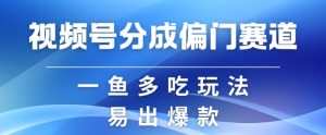 视频号创作者分成计划偏门类目，容易爆流，实拍内容简单易做-小本创业副业项目推荐_零成本在家赚钱项目_中赚网