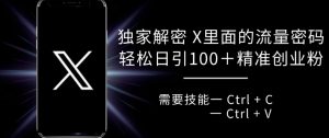 独家解密 X 里面的流量密码，复制粘贴轻松日引100+-小本创业副业项目推荐_零成本在家赚钱项目_中赚网