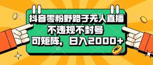 （13336期）抖音零粉野路子无人直播，不违规不封号，可矩阵，日入2000+-小本创业副业项目推荐_零成本在家赚钱项目_中赚网