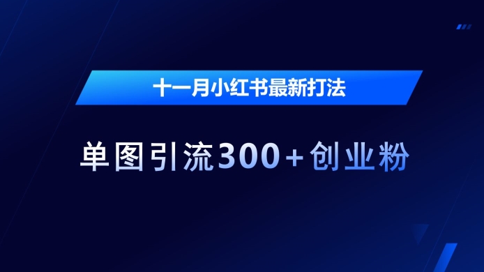 十一月小红书最新打法，单图引流300+创业粉-小本创业副业项目推荐_零成本在家赚钱项目_中赚网