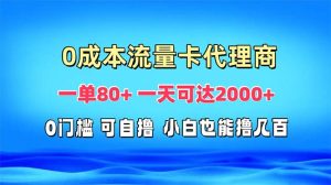 （13391期）免费流量卡代理一单80+ 一天可达2000+-小本创业副业项目推荐_零成本在家赚钱项目_中赚网