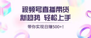 （13370期）视频号直播带货新趋势，轻松上手，带你实现日赚500+-小本创业副业项目推荐_零成本在家赚钱项目_中赚网