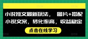 小说推文最新玩法， 图片+搭配小说文案，转化率高，收益稳定-小本创业副业项目推荐_零成本在家赚钱项目_中赚网