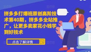 拼多多打爆班原创高阶技术第40期，拼多多全站推广，让更多卖家花小钱学到好技术-小本创业副业项目推荐_零成本在家赚钱项目_中赚网